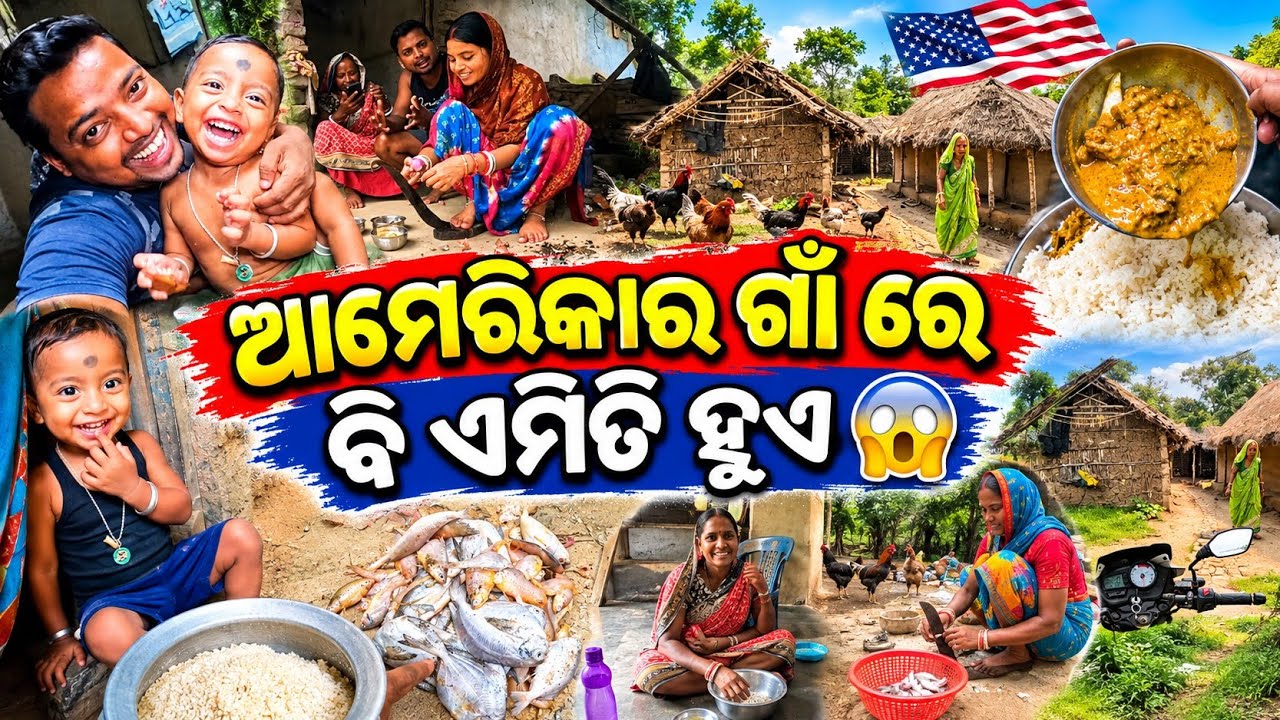 ଆମେରିକାର ଗାଁ ରେ ବି ଏମିତି ହୁଏ 😮 || Village Life In America || Sudhansu Amita Vlog 