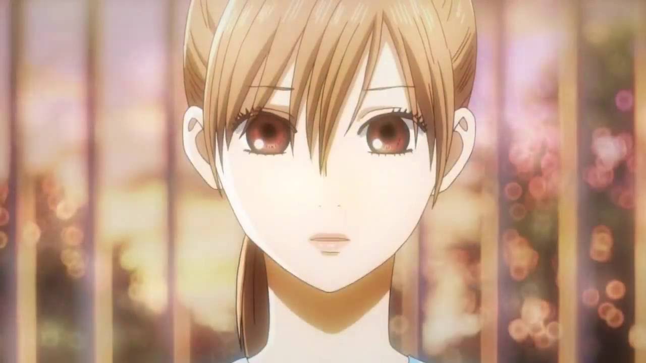 Perfect「Chihayafuru」
