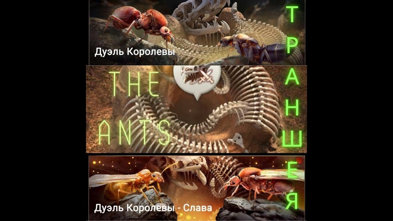 Траншея Поединка Получаем максимум кристаллов игра The Ants Underground Kingdom Дуэль Королевы
