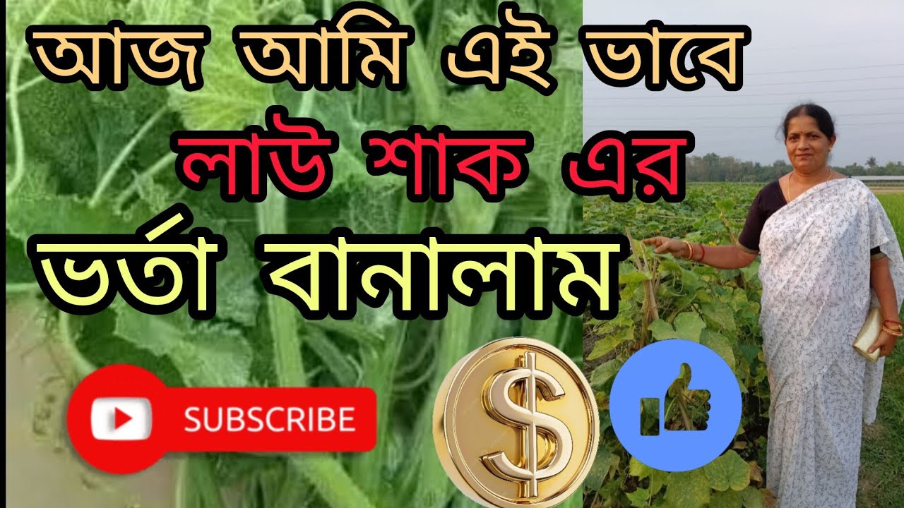আজকের এই ভিডিওতে আপনারা দেখতে পাবেন লাউ পাতার ভর্তা আর অডিনারি শাড়ি কিভাবে ভাঁজ করলে কুচকে যায় না