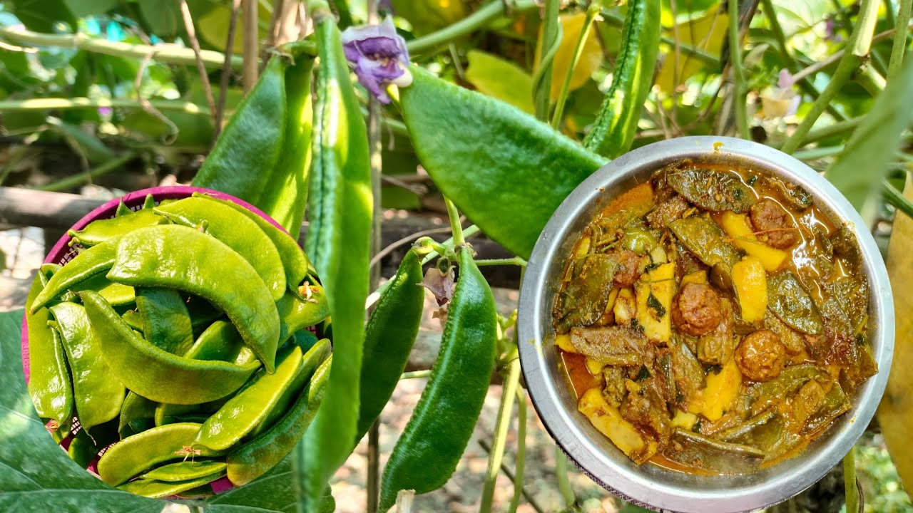 বাড়ির বাগান থেকে টাটকা শিম তুলে এনে বড়ি-আলু-বেগুন দিয়ে দুর্দান্ত স্বাদের নিরামিষ রান্না...
