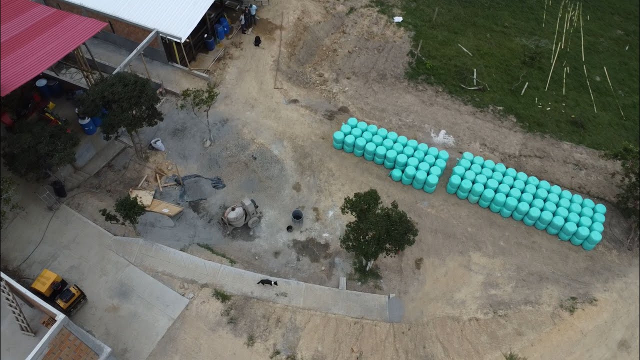 Ensilaje: manejo eficiente para alimentación vacas Jersey - Parte 02