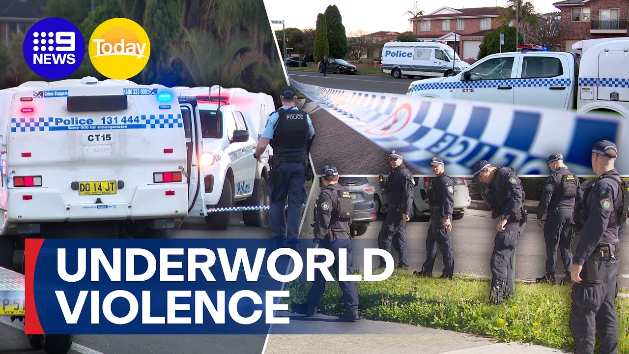Sydney's gang war turns political | 9 News Australia