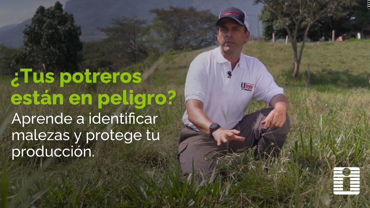 🌱AGROINVESA | APRENDE A LEER LAS ETIQUETAS DE LOS PRODUCTOS AGROQUÍMICOS 📋🔍