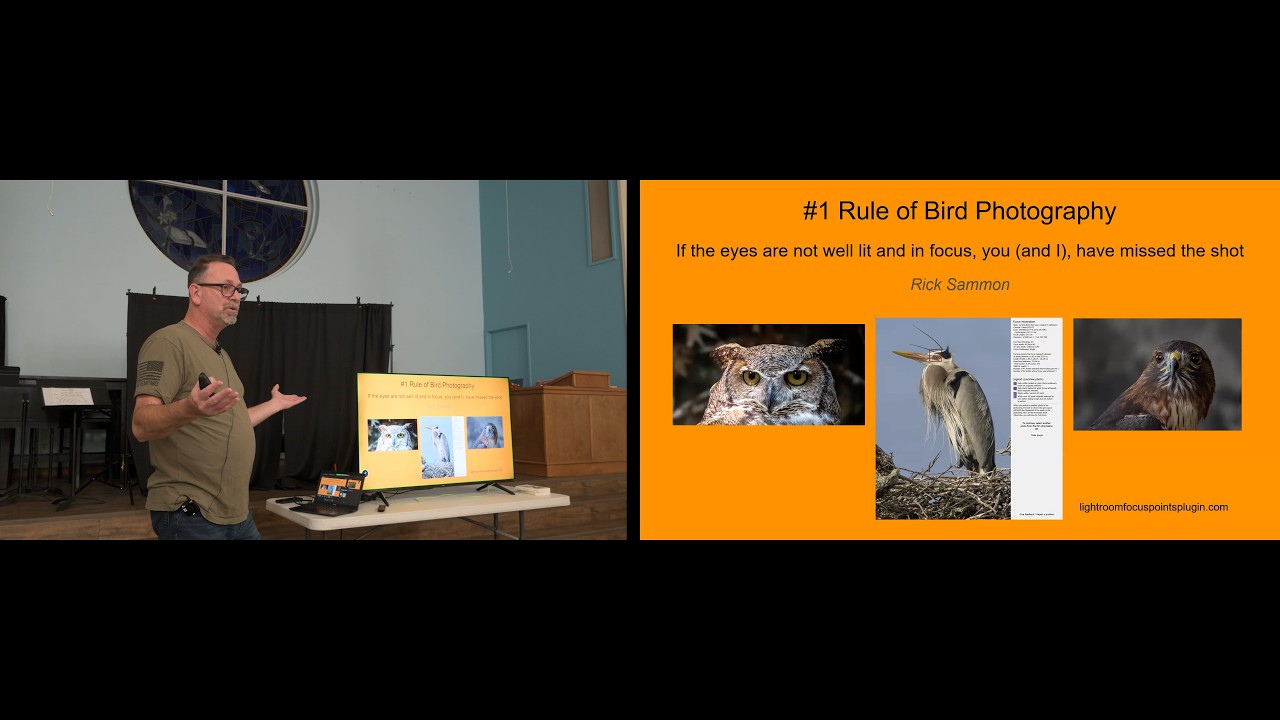 NAPfS Meeting - February 19, 2026 - Stephen Brkich on Bird Photography