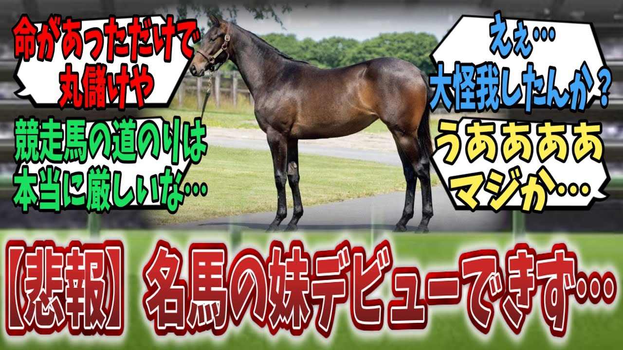 【悲報】名馬の妹、競争能力喪失で未出走引退…【競馬反応集】