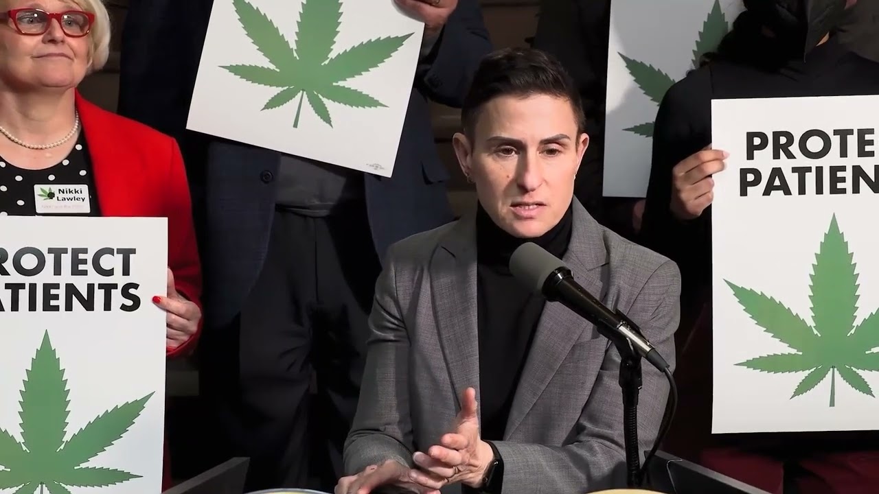 Patients Demand Action in NY MMJ Program Clip 2 #nikkilawley #nymjpatient #NYMCIA #patientspeaks