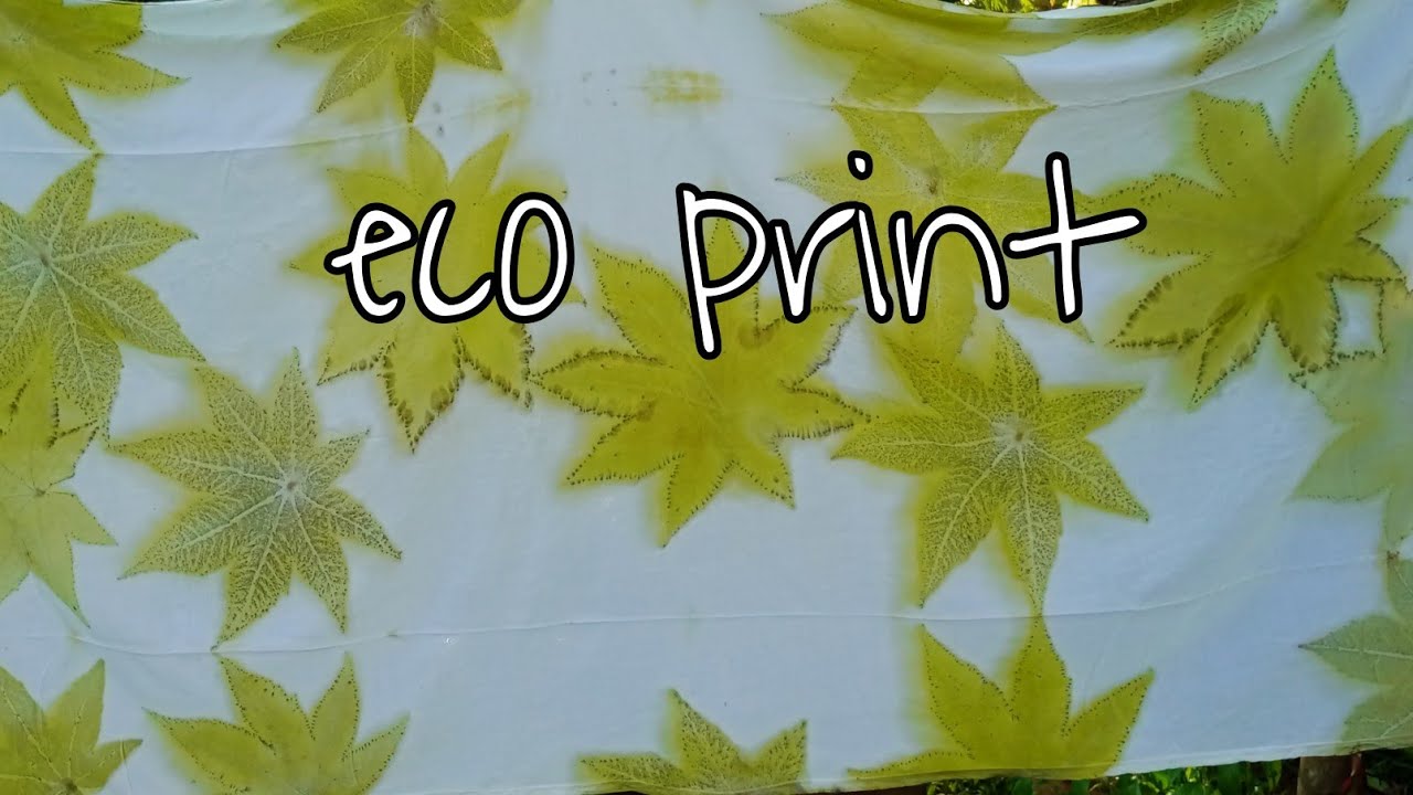 How to Make Eco print on Fabric - Eco Printing Fabric Tutorial - Eco Printing with streamer ep.3