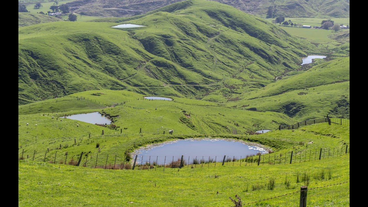 SOLD BY NZR - 425 Daggs Rd, Alfredton, Northern Wairarapa- FOR SALE by NZR
