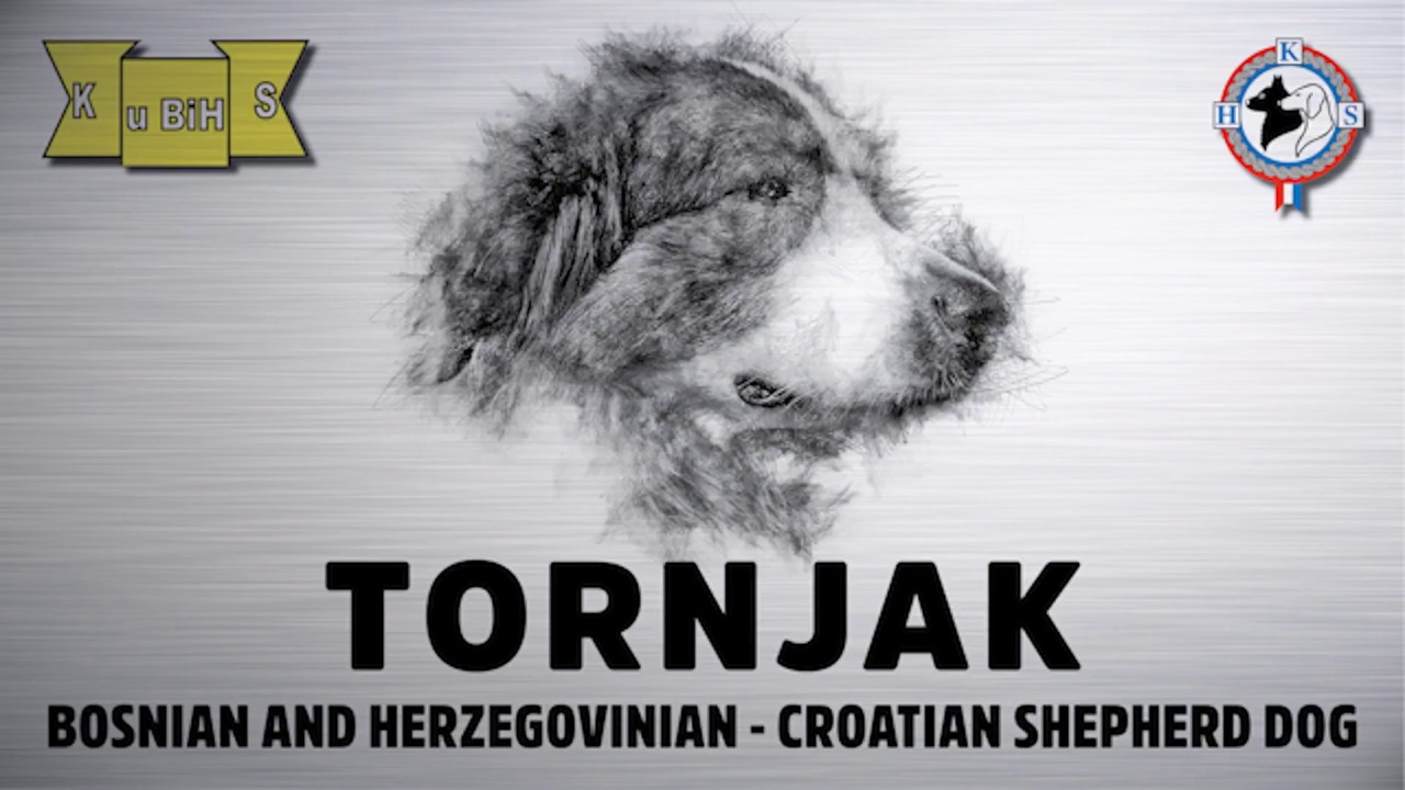 TORNJAK
