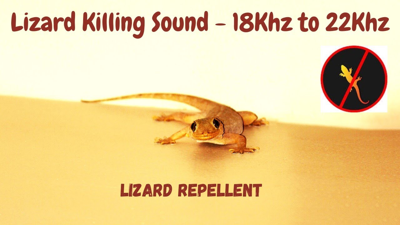 Anti Lizard Repellent | Lizard Killer Sound | Very High Pitch Sound | 22Khz | Kill using mobile