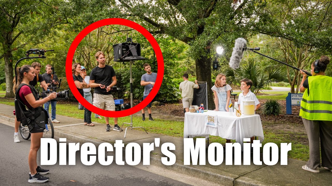 Directors Monitor | Worth It for Indie Films - or Overkill?