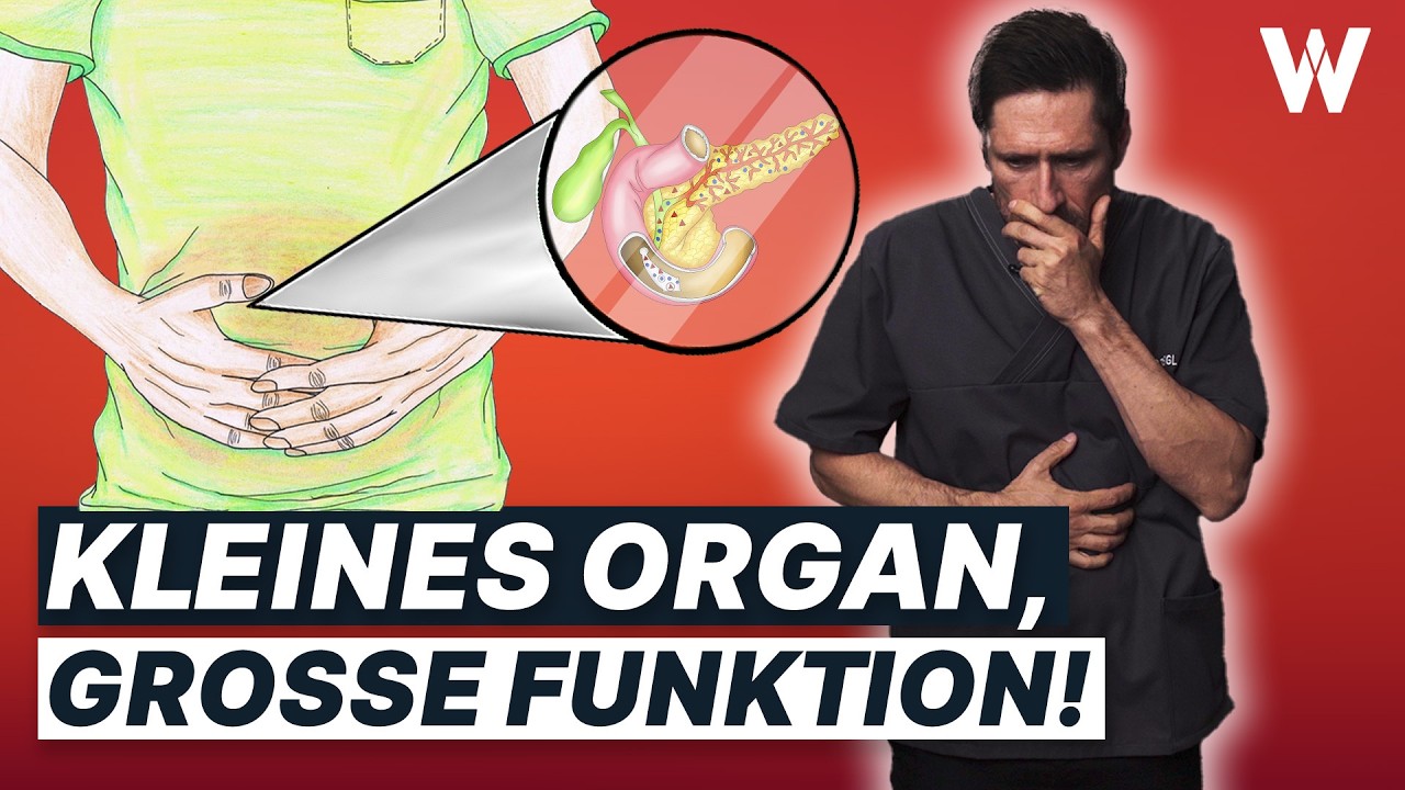 Kranke Bauchspeicheldrüse: 7 Anzeichen, die Du kennen solltest - und mögliche Krankheiten! (wichtig)