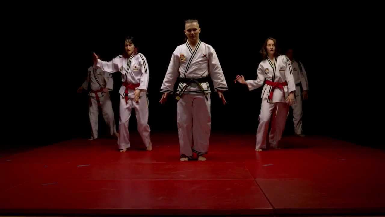 Daehan Minguk Hapkido Austria