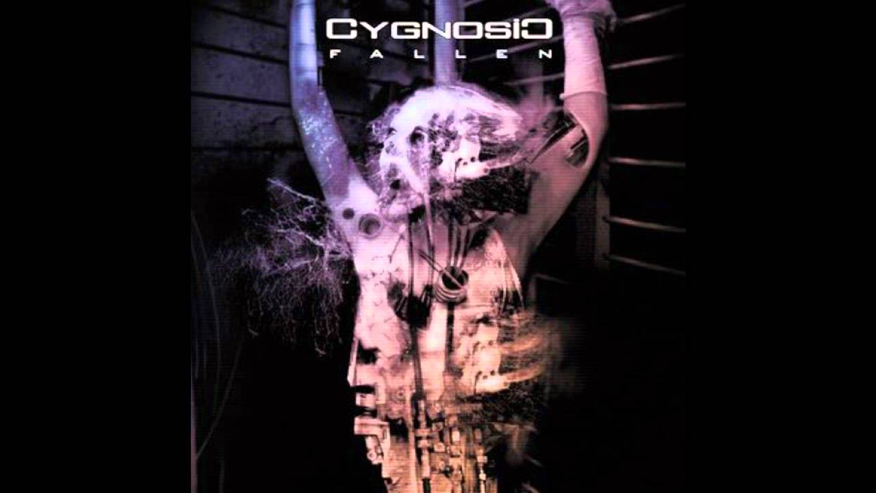 Cygnosic - As We Approach The End (DJ Liquix Rmx)
