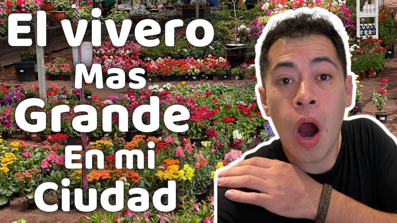 Tour por el VIVERO mas GRANDE de mi Ciudad || Huerto Citadino