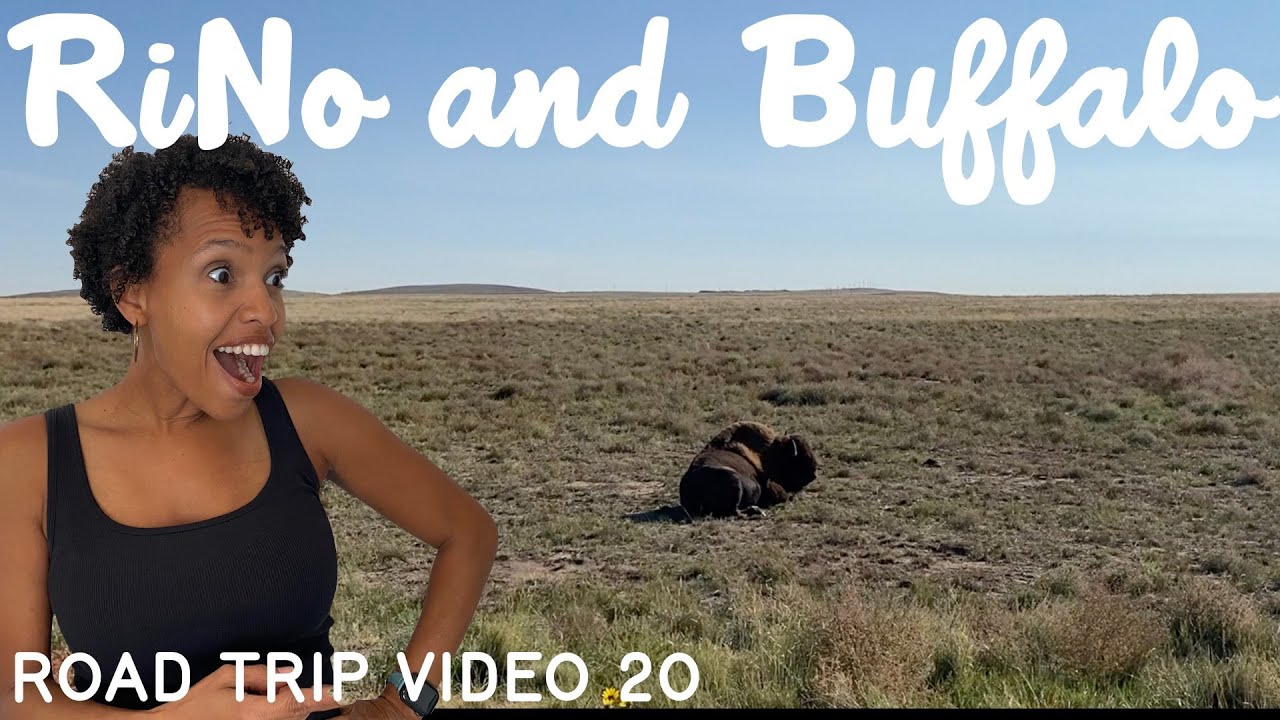 Video 20 | Denver | Solo Female Traveler | Van Life