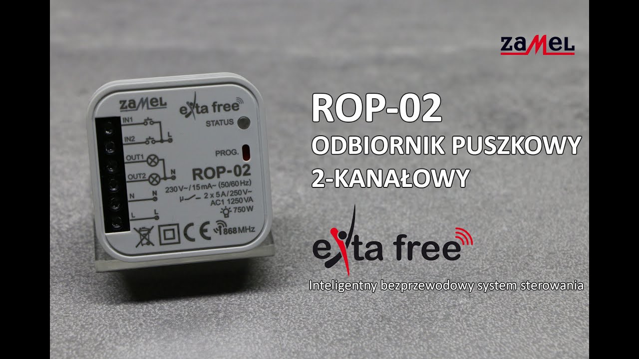 ROP-02 Radiowy odbiornik puszkowy 2-kanałowy