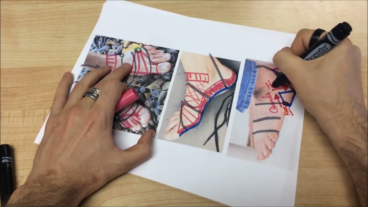 Mapping the Muscular System - Reflexology