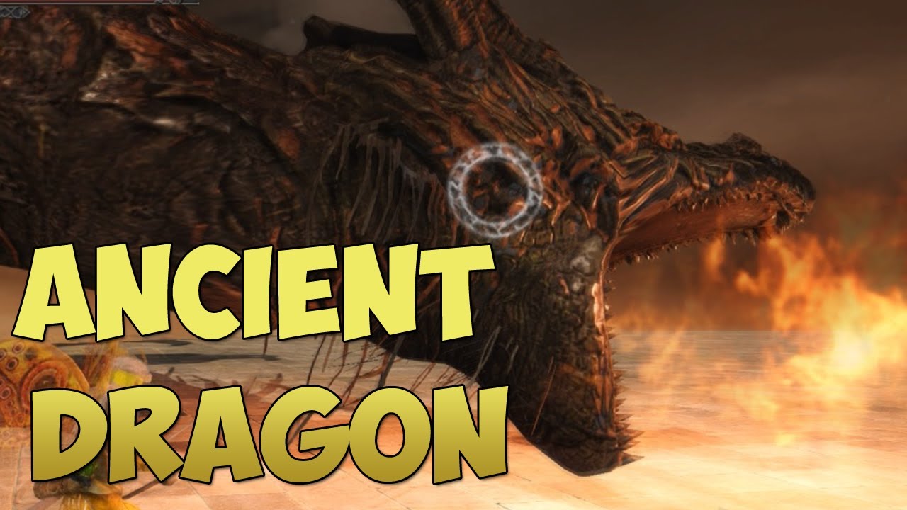 Dark Souls 2 Boss Kill - Ancient Dragon (VERY EASY)