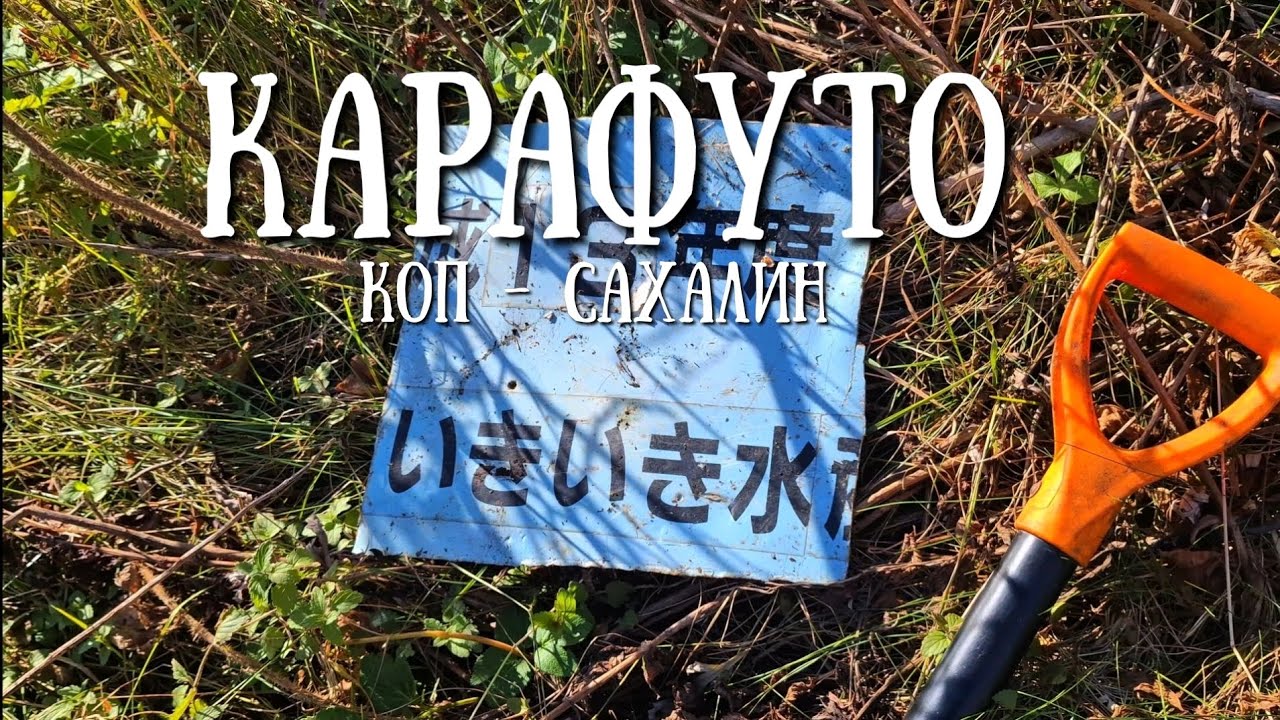Сахалин - призакрытие сезона Карафуто копа #сахалин #природа #коп #карафуто
