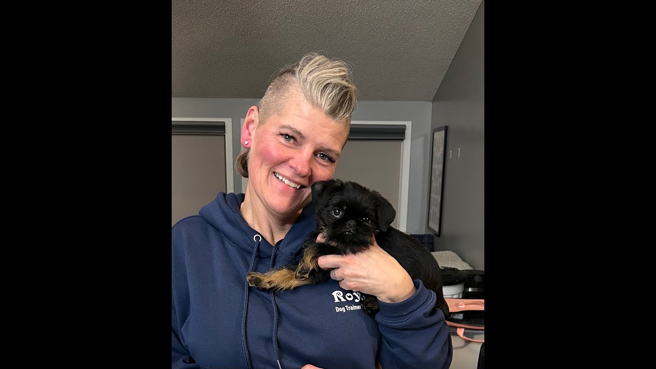 Dog training and grooming