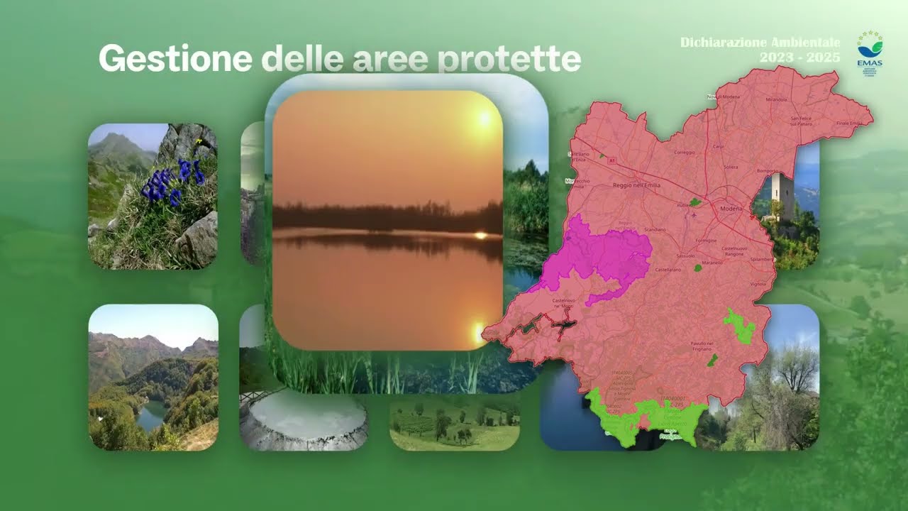 Dichiarazione Ambientale 2023-2025