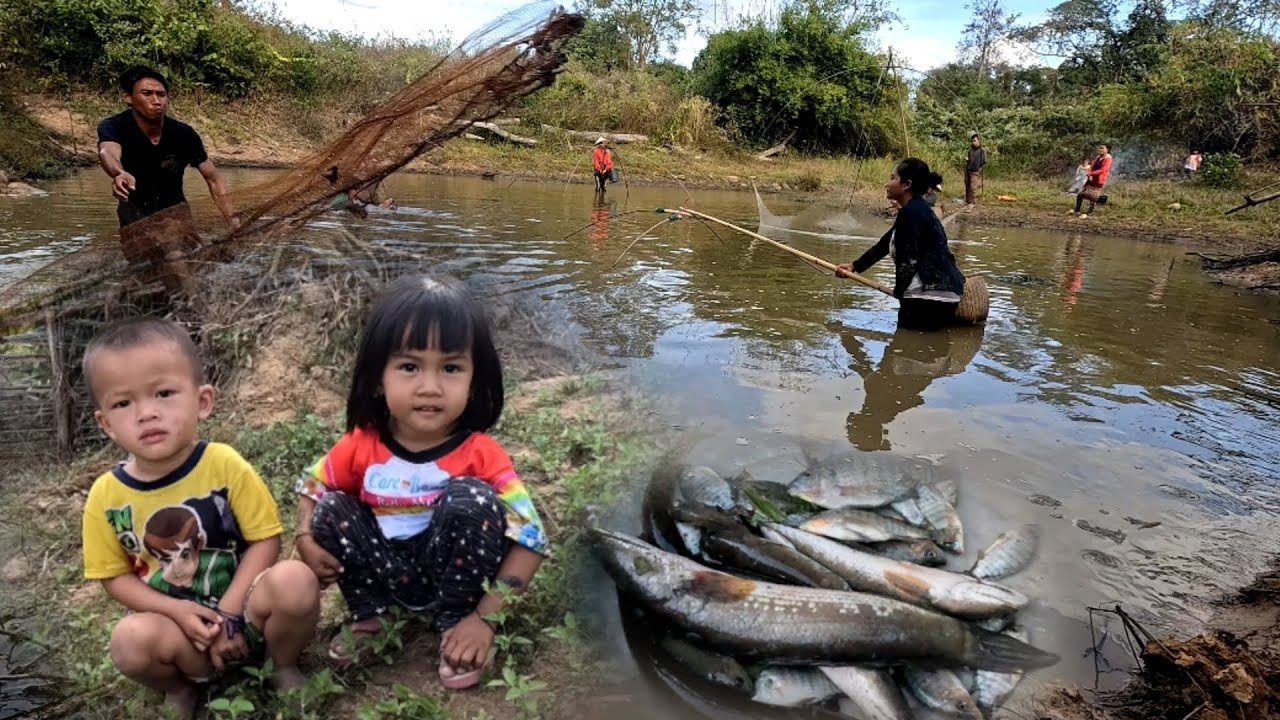 ต้มปลาค่อใหญ่//ຕົ້ມປາຄໍ່ໃຫ່ຍ