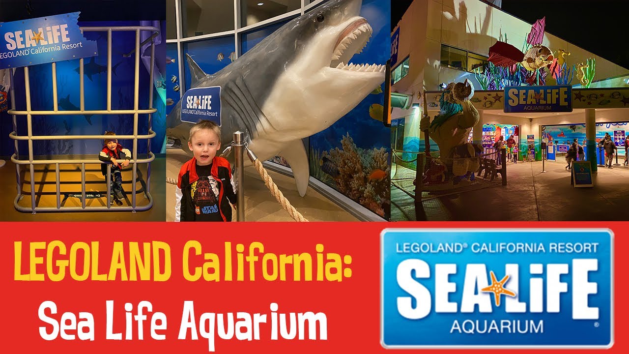 LEGOLAND California - Sea Life Aquarium