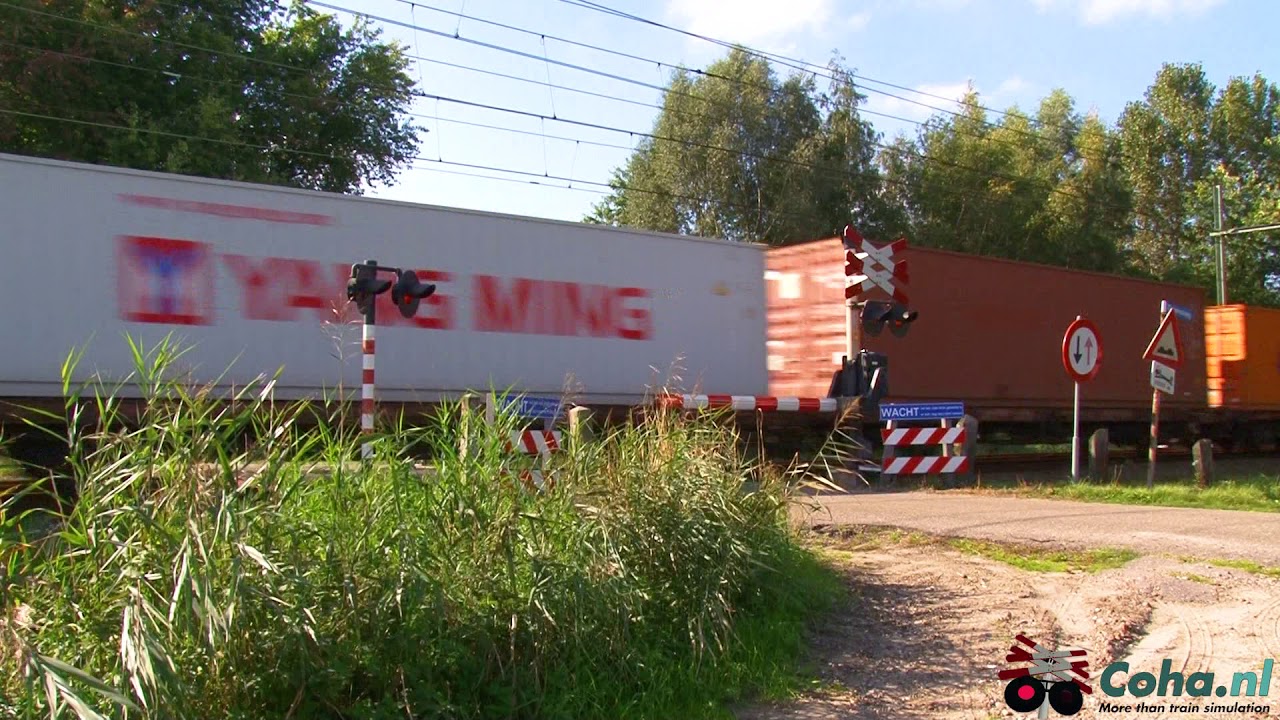 Big freight train at Dutch levelcrossing - Esch, Netherlands