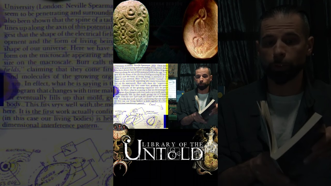 Cosmic Egg and Holographic Universe #declassifed