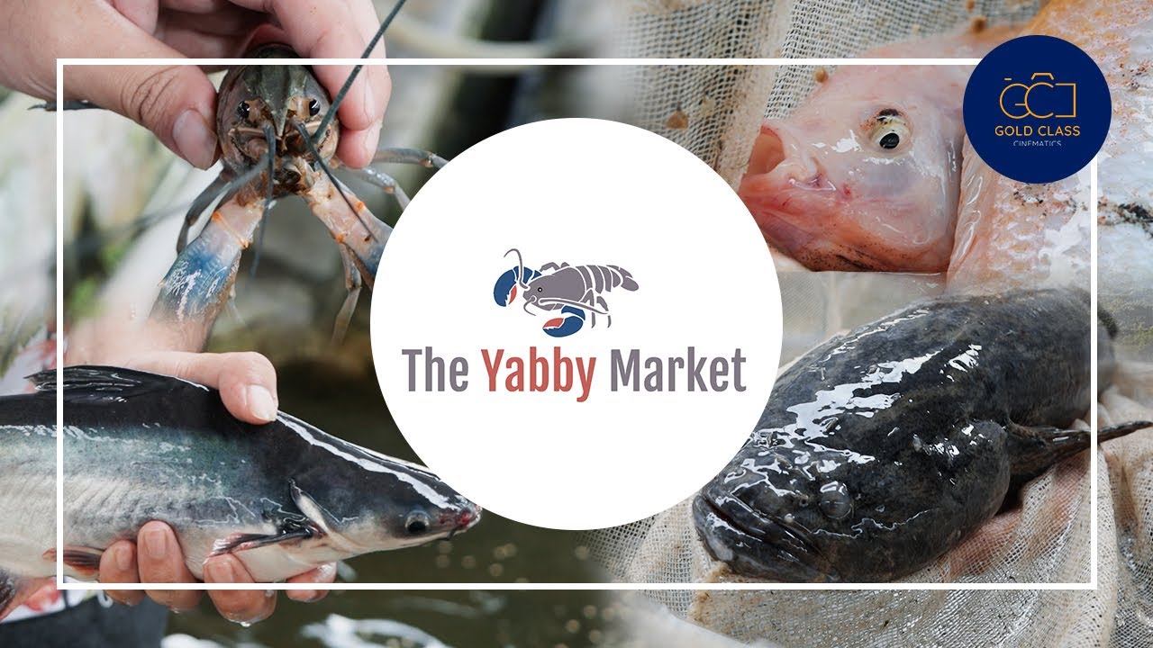 Incredible Lim Chu Kang Fish Farm in Singapore - The Yabby Market | GCC Singapore Biz Class