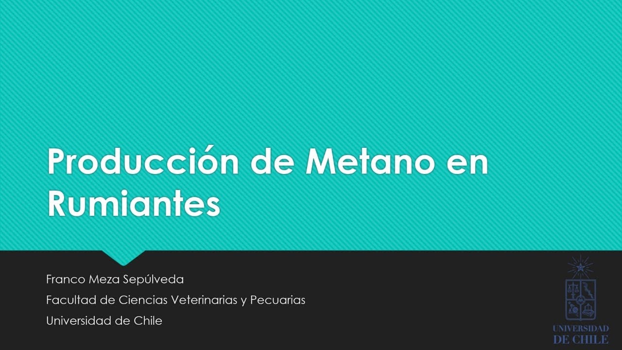 Producci&oacute;n de Metano en Rumiantes