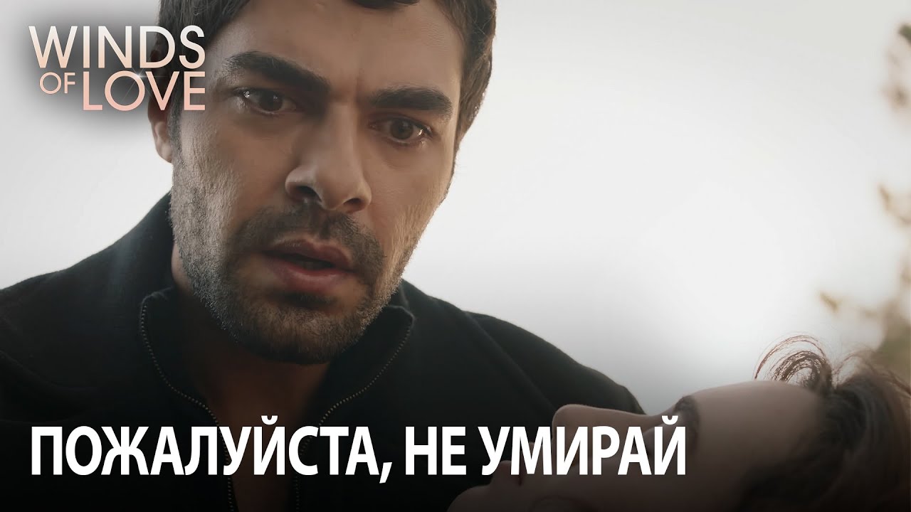 Халил находит Зейнеп в крови | Ветреный холм 31. раздел