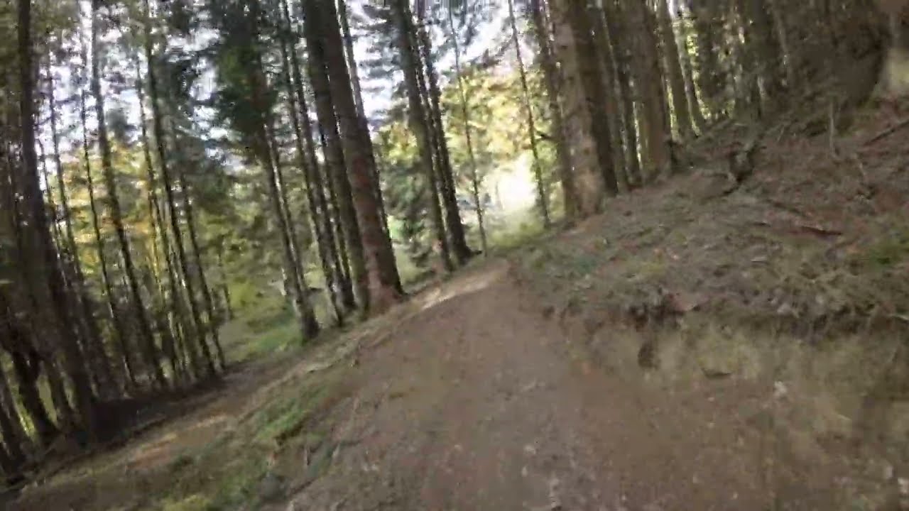 Augst Trail: Uncut