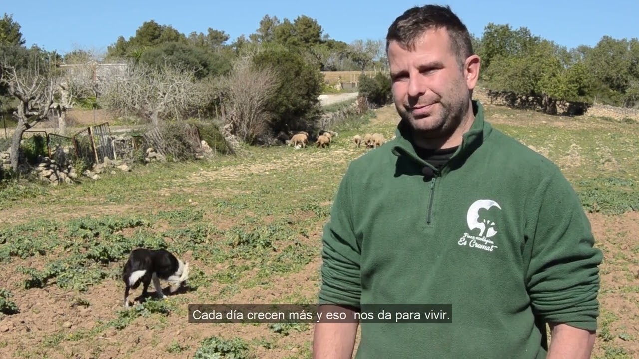 Fincas de Mallorca | Es Cremat
