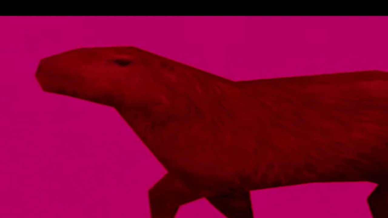 Capybara Emotional Shoegaze Moment