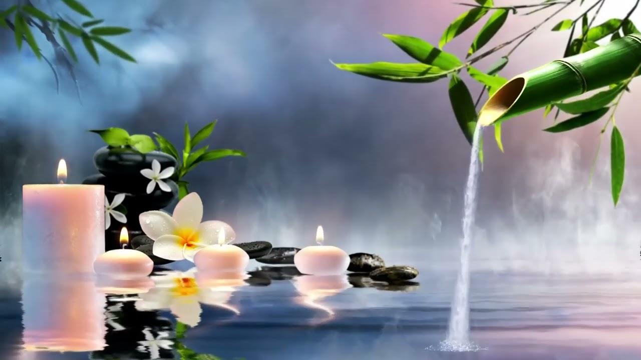 sleep_inducing_yoga_meditation_music_+_water_sound_for_insomnia_relief_🎵_it's_time_to_relax_your..