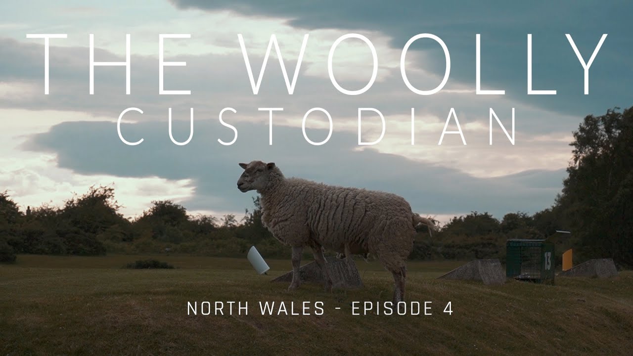 The Woolly Custodian - Holywell Golf Club - Episode 4