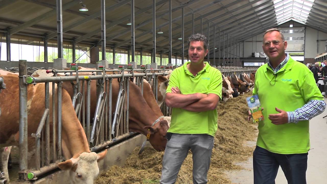 Van biologisch vleesvee naar biologisch melkvee bij Ko-Kalf