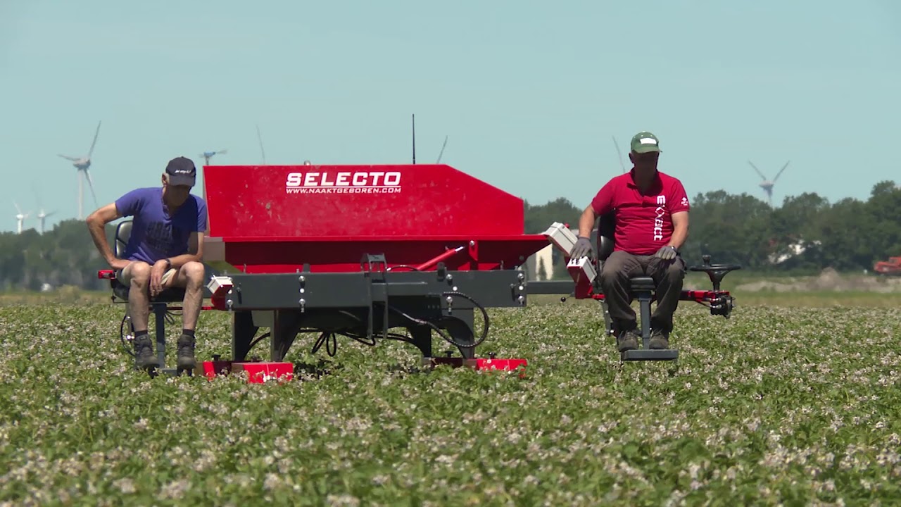 Naaktgeboren Selecto