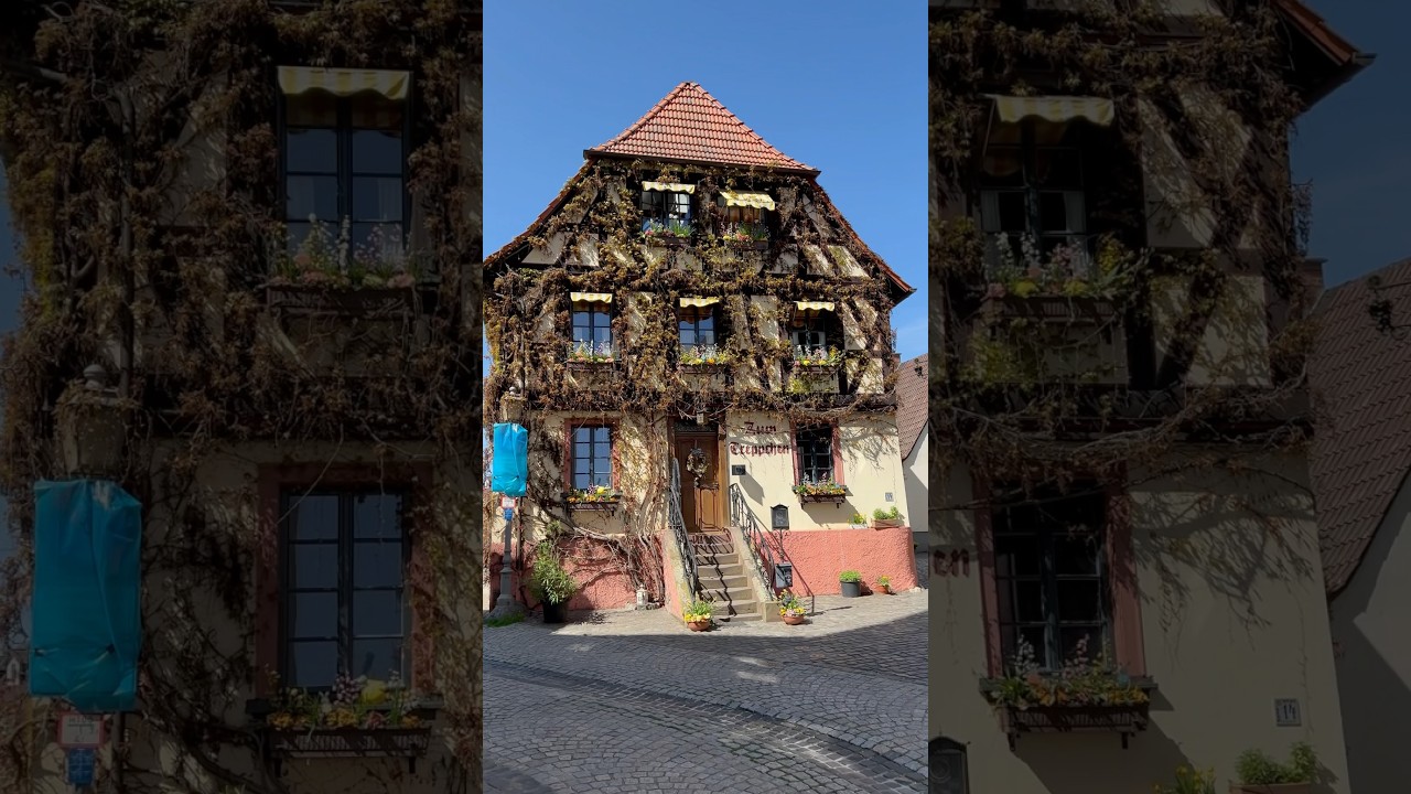 Die Umgebung in Niederwalluf (im Rheingau) 🪚 