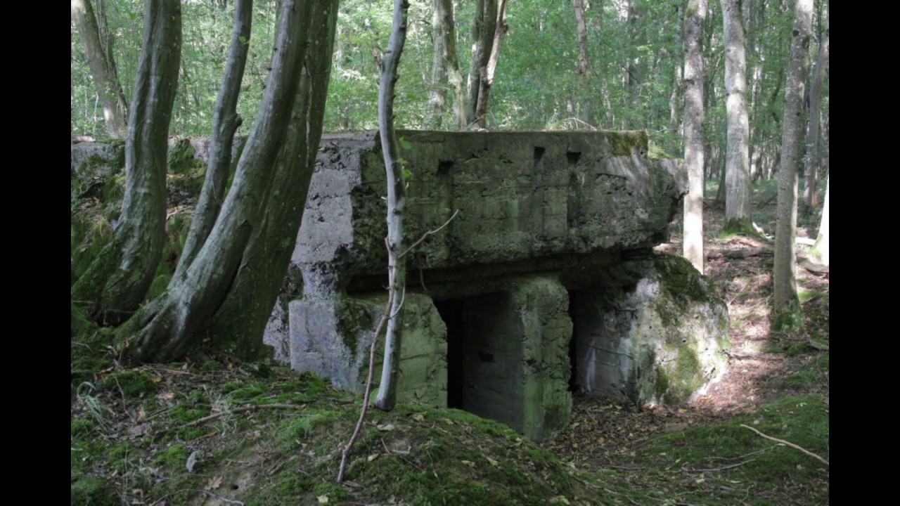Vestiges 1914-1918 - Bois de Gincrey (2011)