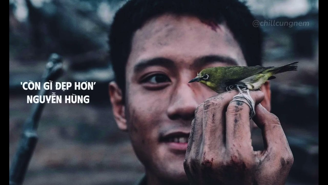 'C&ograve;n g&igrave; đẹp hơn' / Nguyễn H&ugrave;ng // 1 Hour Video Lyrics