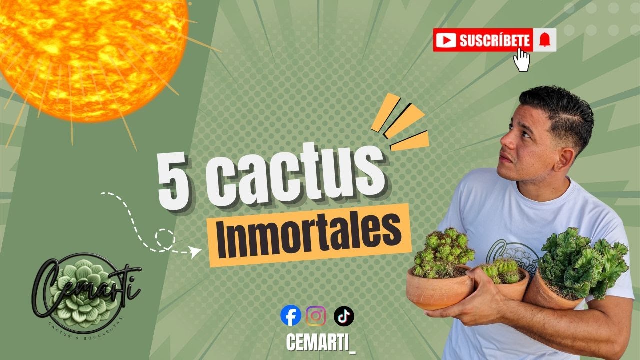 5 Cactus INMORTALES que cualquiera puede cuidar | Cactus y Suculentas