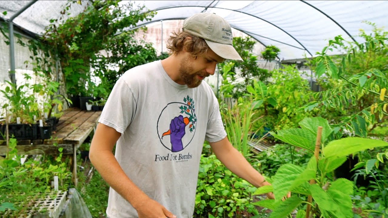 He’s Introducing NEW Rare Edible Plants to Florida (& Beyond)!