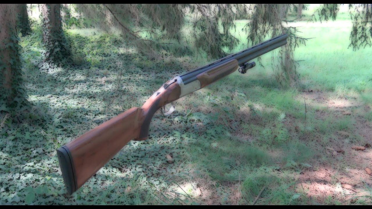 GOMM COGNE CALIBRE 12 PENETRATION TEST