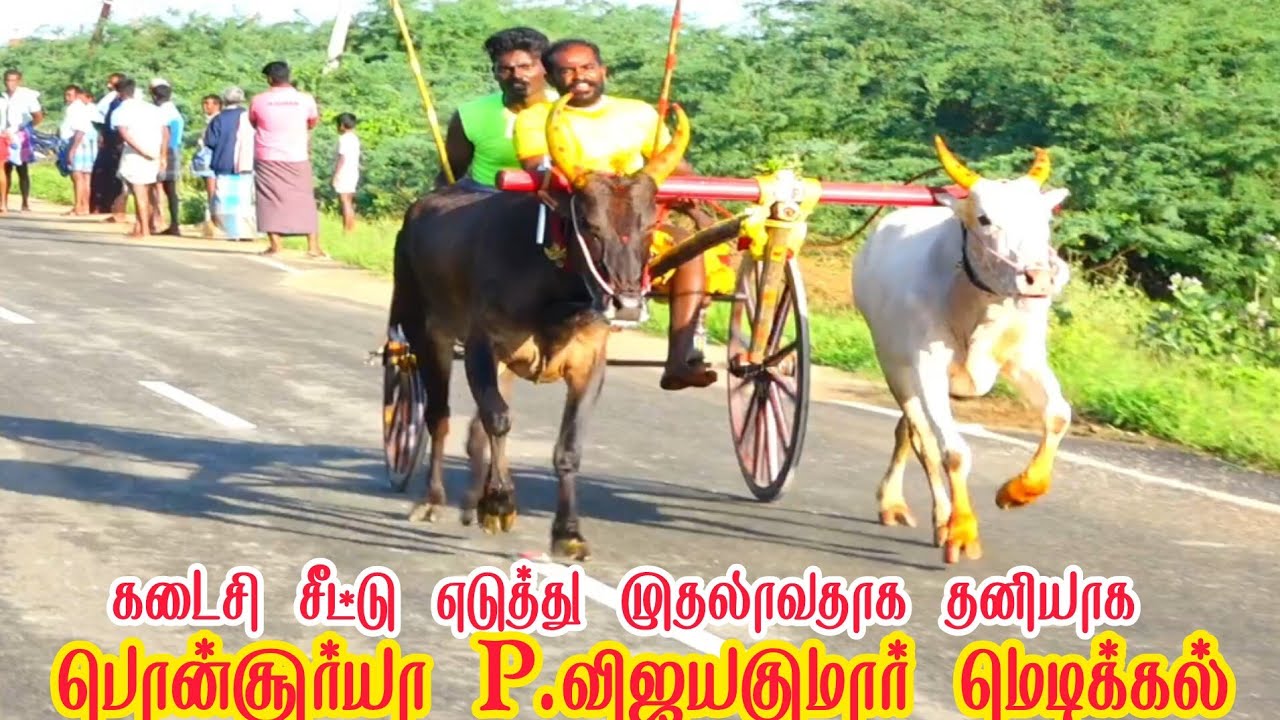 1 தூத்துக்குடி மாவட்டம் பூசனூர் நடுமாடு 24-11-2025