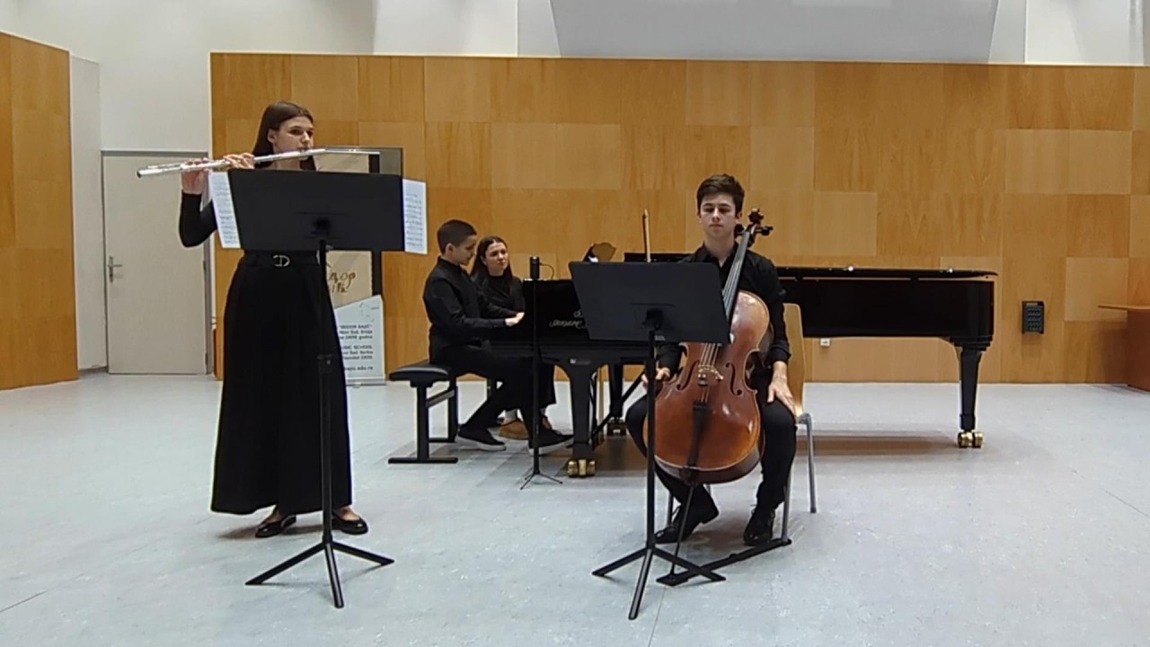 F. Kuhlau: Trio op.119 in G major - 1st Movement