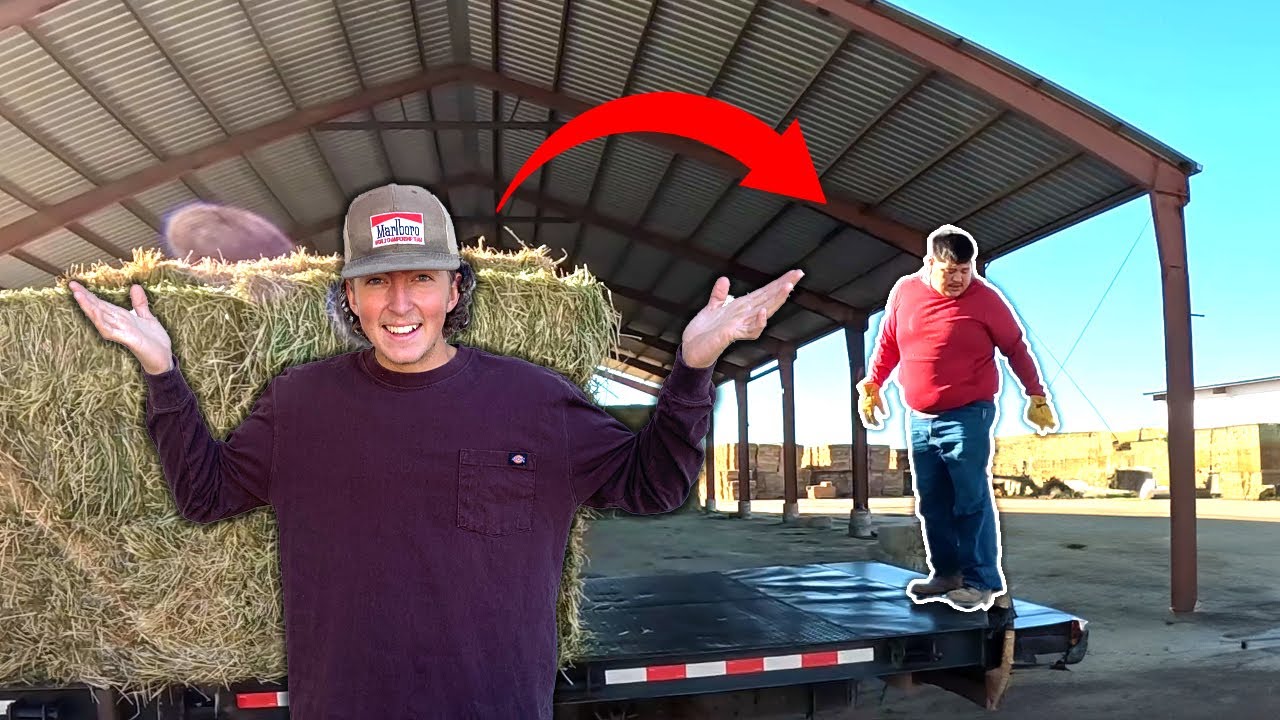 Hay There! Snacks, Shenanigans & a Surprise Delivery!